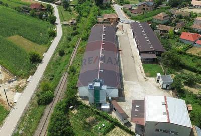 Spa?iu industrial de vanzare in Sangeorgiu de Padure... - 17