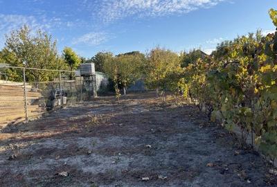 Teren ideal pentru constructie noua-800 mp cu front 22 ml - 2