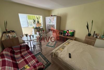 Garsonieră decomandată, mobilată în Freidorf - 1