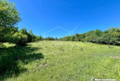 Oportunitate investitie, Chinteni, zona Macicas 31.600 MP - 6