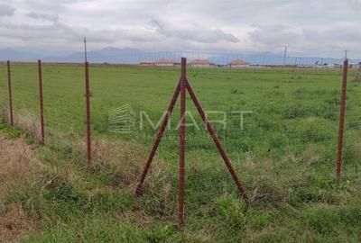 Teren  intravilan cu PUZ 30.000 mp Prejmer - 5