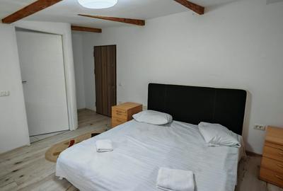 Vila 10 camere,pretabil compartimentare in 2 unitati separate,ASTRA. - 4