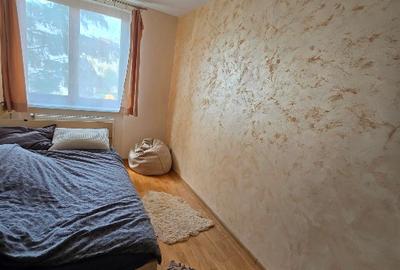 Apartament In Deva | modern | renovat | 3 camere - 9