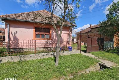 Casă cu 4 camere cu Teren 1427 Mp în Sâmbăta - 8