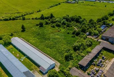 Spațiu comercial, în Teliu - 3