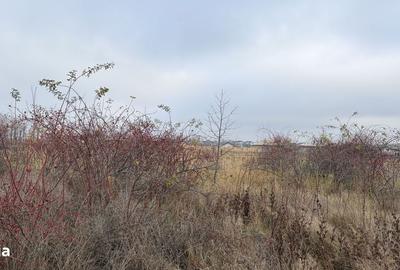 Spațiu comercial, în Miroslava