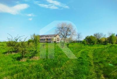 Teren Construcții intravilan de 10000 mp, în Grădiștea - 11