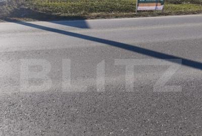 Teren intravilan ,4900 mp , 25ml front, Fratautii Vechi, Rad - 3