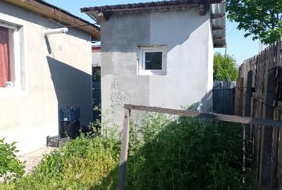 Casă individuală cu 3 camere cu Teren 1331 Mp în Romanu - 12