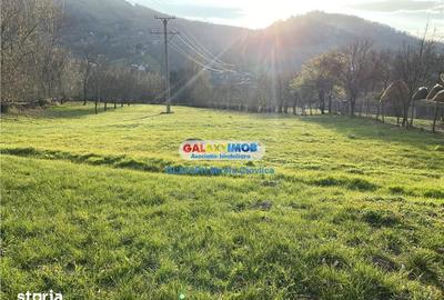 Teren de 4530 mp, în Secăria - 3