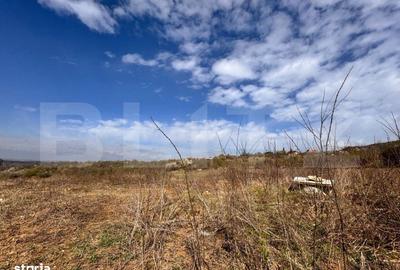 Teren de 710 mp, în Bârnova - 3