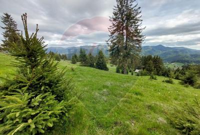O fereastra catre cer teren de vis in Fundata, la ... - 6
