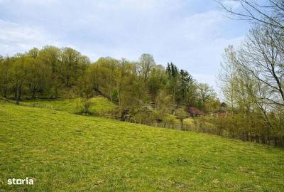 Teren de 1688 mp, în Vișinești - 5