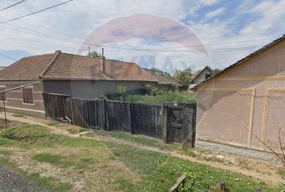 Teren curti constructii 857 mp de vanzare in Pecica , Arad - 3