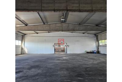 Depozit/hala/spatiu industrial Domnesti - Clinceni - Bragad - 5