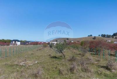 Teren de 1296 mp, în Sânpetru