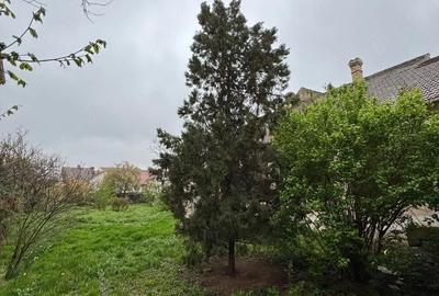 Spațiu comercial, de 140 mp, în Bălcescu - 1