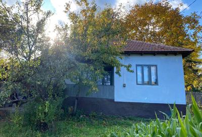 Casă cu 3 camere în Coca-Antimirești - 1