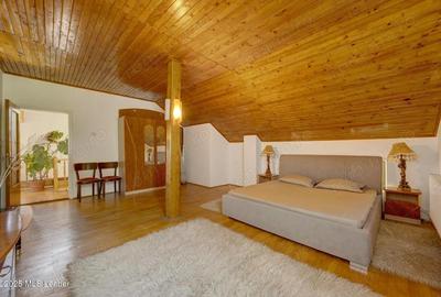 Casa de vacanta cu teren 5394 mp, Pucioasa, Dambovita - 2