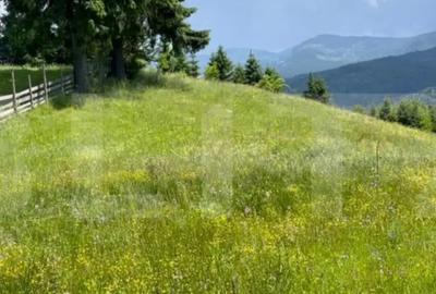 Teren de 1346 mp, în Colibița - 4