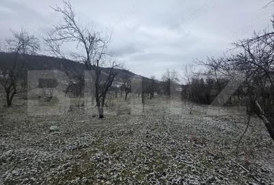 Teren de 9066 mp, în Central - 1