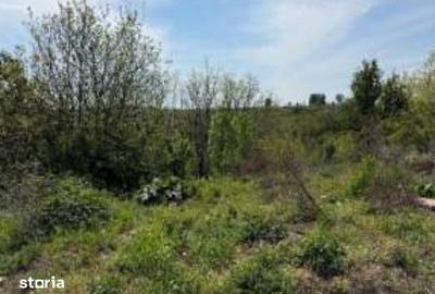 Teren de 2261 mp, în Văculești - 6
