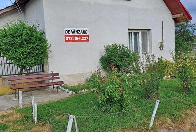 Casă cu 3 camere cu Teren 2877 Mp în Bethausen - 4