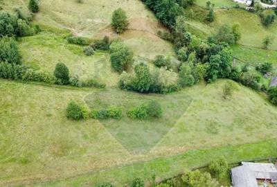 Teren de 6865 mp, în Voroneț - 5