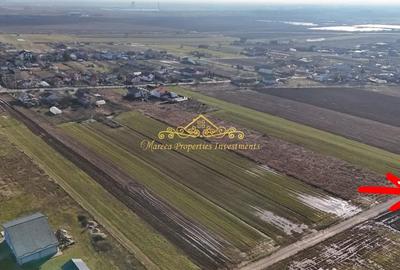 Teren de 10000 mp, în Ulmi - 3