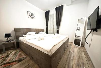 Apartament cu 2 camere decomandat în Băile Felix - 4