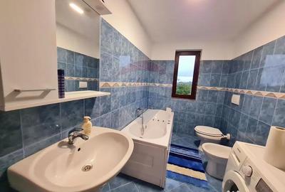 Casă cu 7 camere cu Teren 3141 Mp în Ploștina - 13