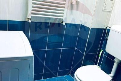 Apartament 2 camere de vanzare Drumul Fermei,Popesti - 11