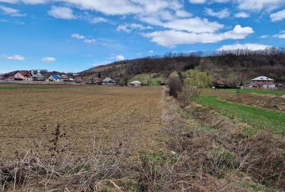 Teren intravilan in Sanduleni/Bacau de vanzare - 9