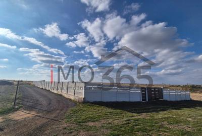 Teren intravilan Bradu 1000mp 25m deschidere - 2