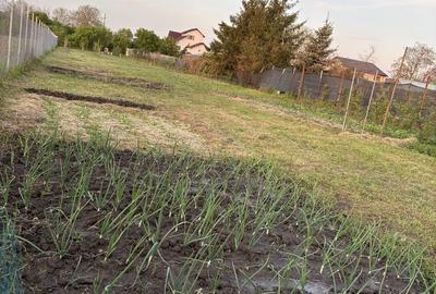 Spațiu comercial, în Ulmi - 4