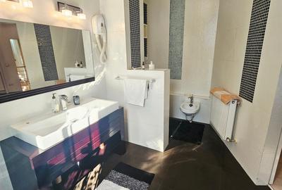 Duplex cu 9 camere cu Canalizare în Albert - 21