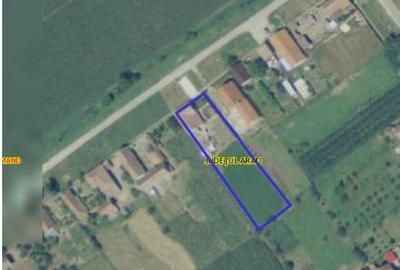 Casă cu 2 camere cu Teren 1530 Mp în Central - 3