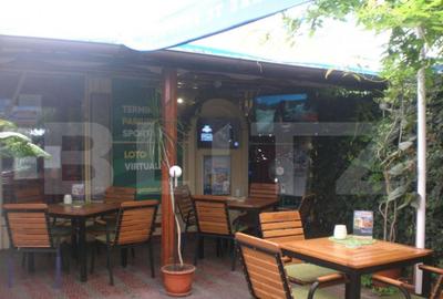 Spatiu comercial, 100 mp, terasa, Bld. Castanilor Spatiu comercial, 100 mp, terasa, Bld. Castanilor - 6