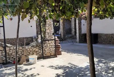 Casă cu 3 camere în Dalboșeț - 4