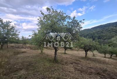 Teren spectaculos cu padure, livada si priveliste panoramica in Soimari PH - 4