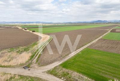 Teren de vanzare – Ghimbav, Brasov | 9.400 mp - 6