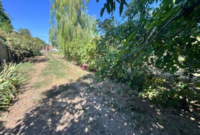 Casa individuala P+1+M amplasata pe un teren de 1612 mp. - 51