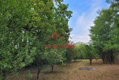 Teren intravilan in Banesti--2093mp--59.000e - 1