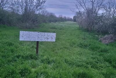 Teren de 870 mp, în Petrăchioaia - 2