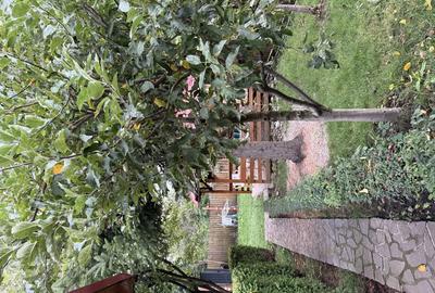 De vanzare casa vila Comarnic - 7