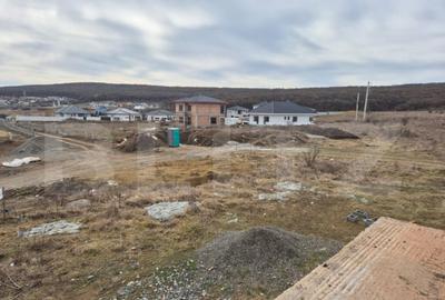 Vila noua de vanzare la intrare in Corunca - 2