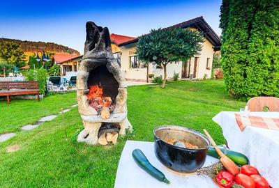 Hotel Bielmann,unicitate si profitabilitate optima in turism,Sanpetru, Brasov - 34