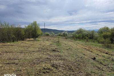 Teren de 6704 mp, în Hărău - 7