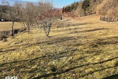 Teren de 6900 mp, în Ocna Șugatag - 1