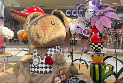 Teren forestier fag stejar - 3